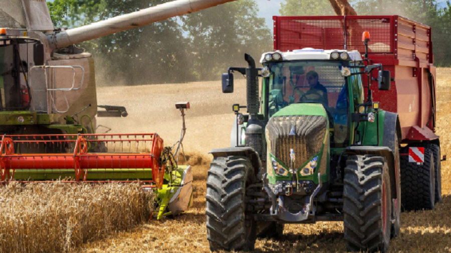 Zu sehen ist ein Traktor auf dem Feld bei der Weizenernte.