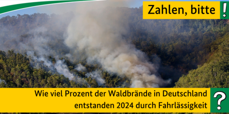 Quiz: Wie viel Prozent der Waldbrände in Deutschland entstanden 2024 durch Fahrlässigkeit?