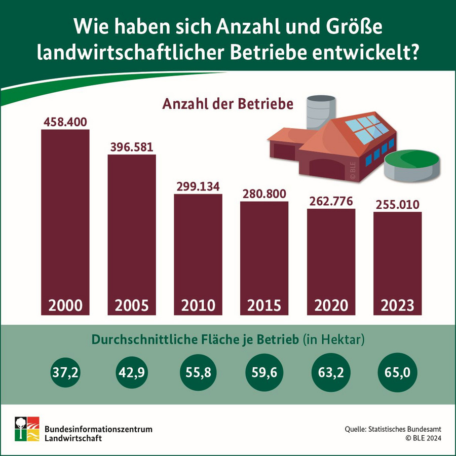 Infografik: Wie haben sich Anzahl und Größe landwirtschaftlicher Betriebe entwickelt?