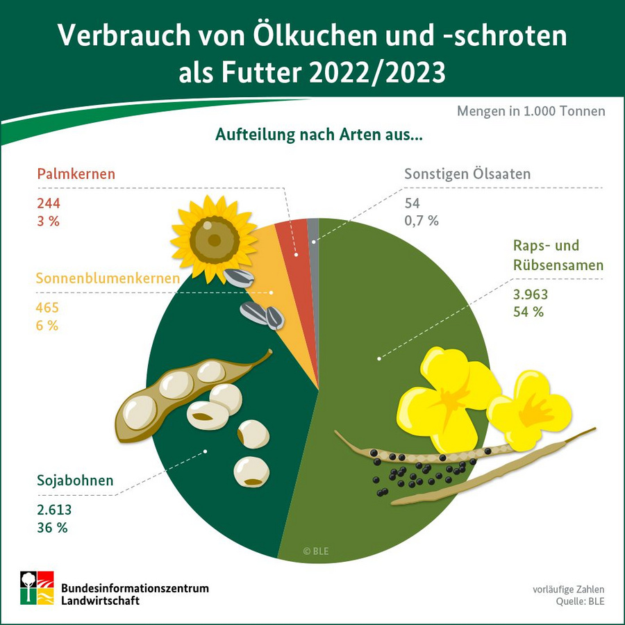 Infografik: Verbrauch von Ölkuchen und - schroten als Futter 2022/23