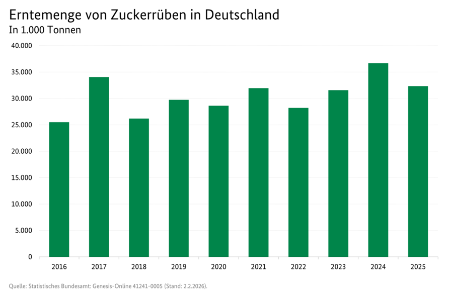 Säulendiagramm: Erntemenge von Zuckerrüben in Deutschland