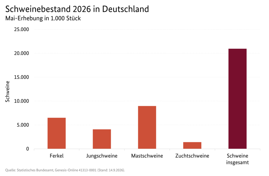 Säulendiagramm: Schweinebestand 2026 in Deutschland (Mai-Erhebung)