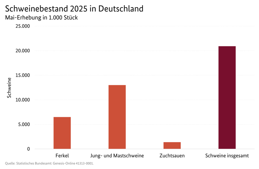Säulendiagramm: Schweinebestand 2026 in Deutschland (Mai-Erhebung)