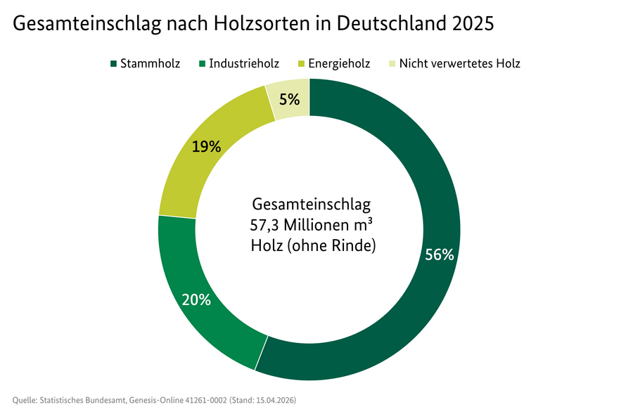 Kreisdiagramm: Gesamteinschlag nach Holzsorten in Deutschland