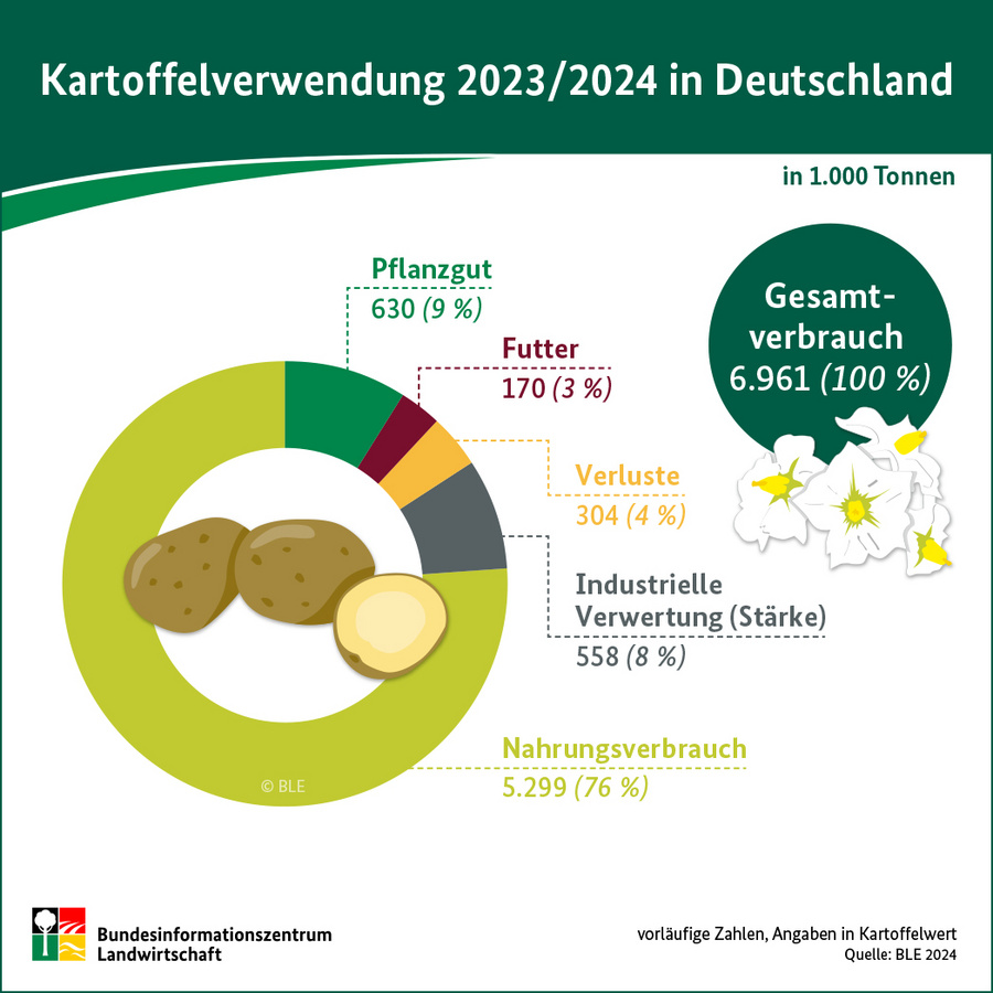 Infografik: Kartoffelverwendung 2023/24 in Deutschland