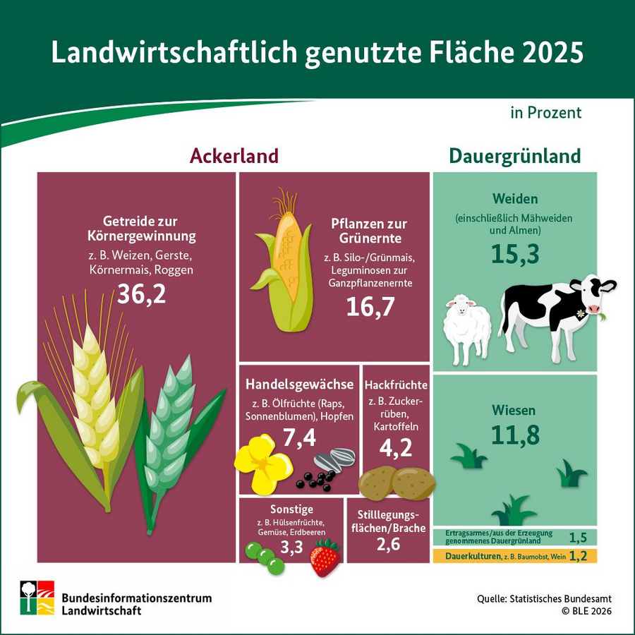 Infografik: Landwirtschaftlich genutzte Flächen 2025
