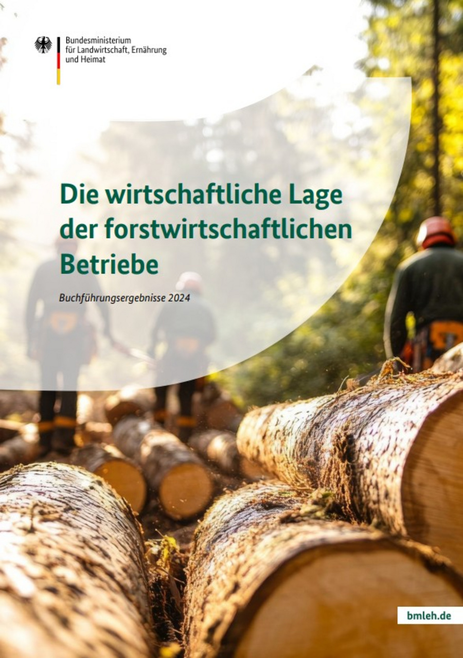 Broschüre: Die wirtschaftliche Lage der forstwirtschaftlichen Betriebe - Buchführungsergebnisse 2024