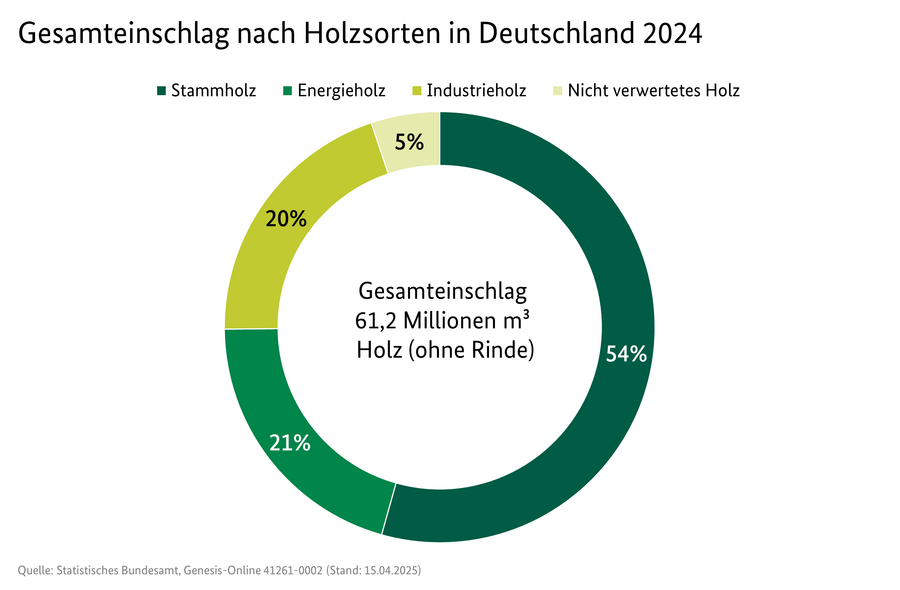 Kreisdiagramm: Gesamteinschlag nach Holzsorten in Deutschland