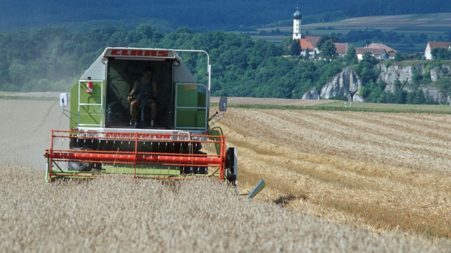 Mähdrescher bei der Getreideernte.