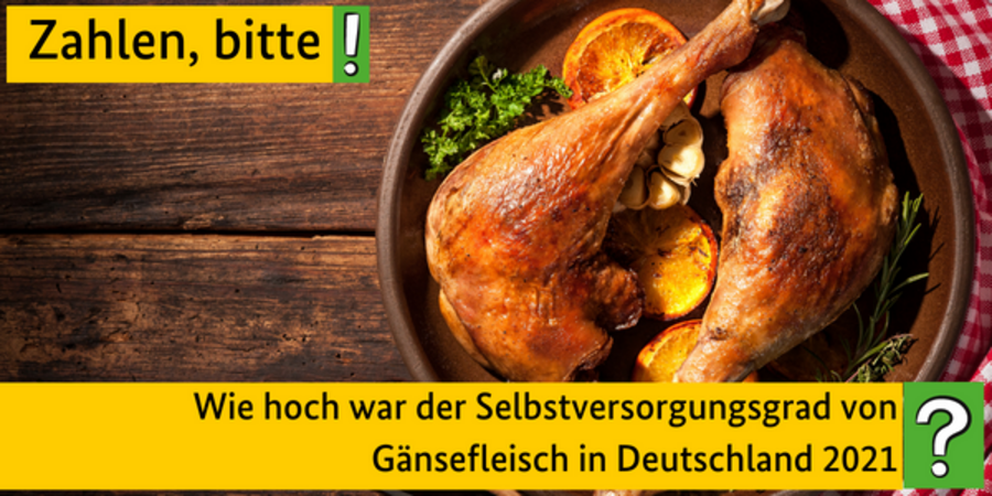 Wie hoch ist eigentlich unser Selbstversorgungsgrad von Gänsefleisch?