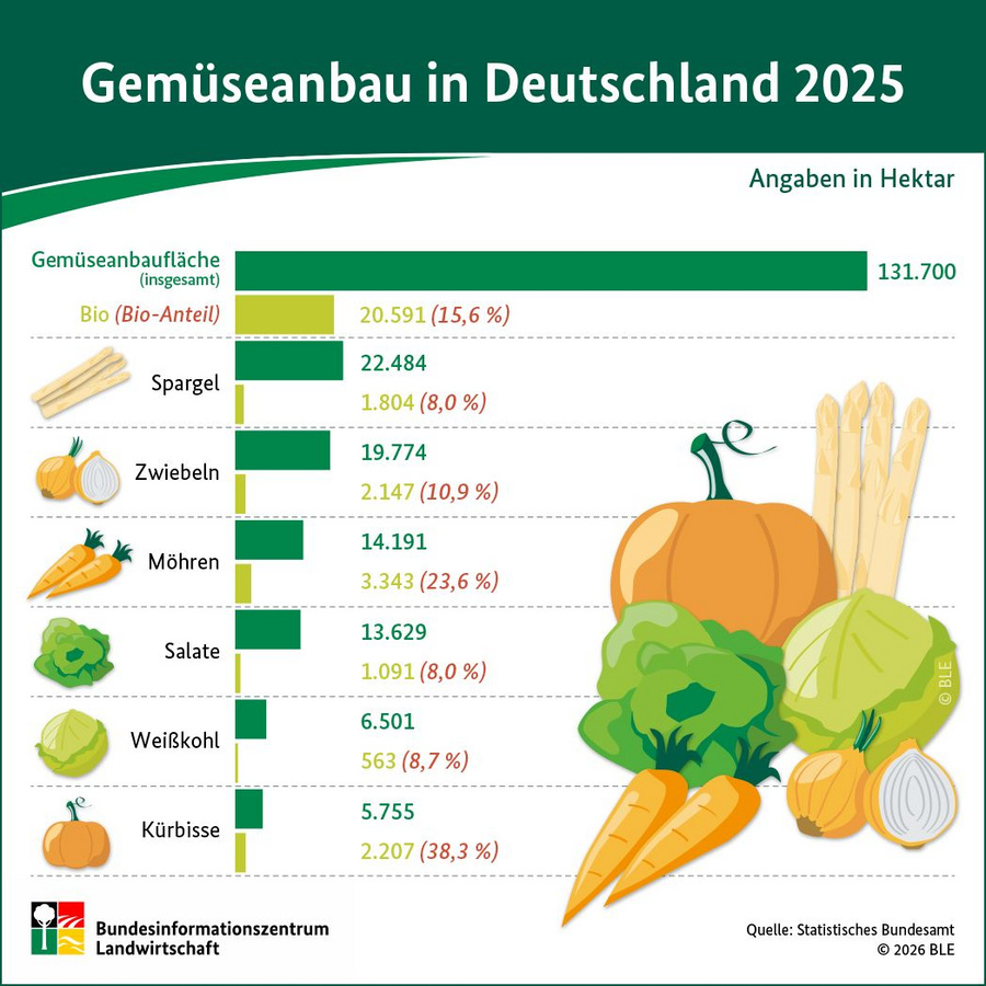 Infografik: Gemüseanbau in Deutschland 2025