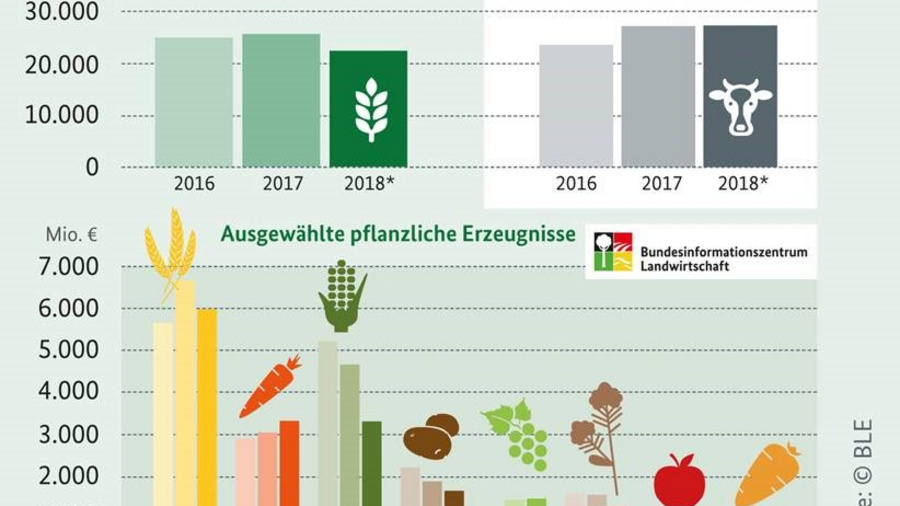 Infografik zum Produktionswert der Landwirtschaft 2016 bis 2018