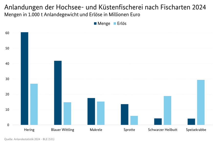 Säulendiagramm: Anlandungen der Hochsee- und Küstenfischerei nach Fischarten: Mengen und Erlöse.