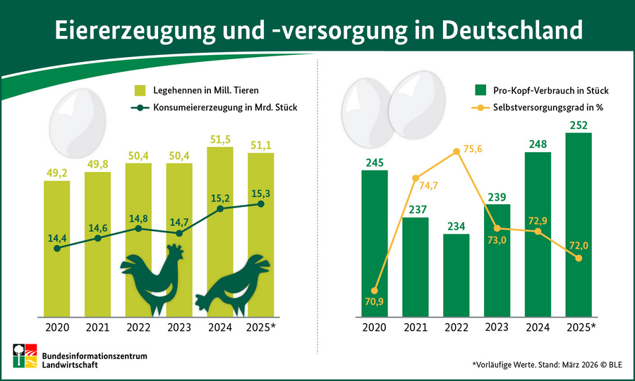 Infografik zur Eiererzeugung und -versorgung in Deutschland 2025