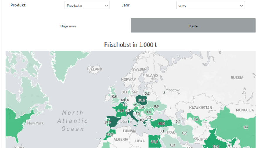 Analysetool zum deutschen Außenhandel