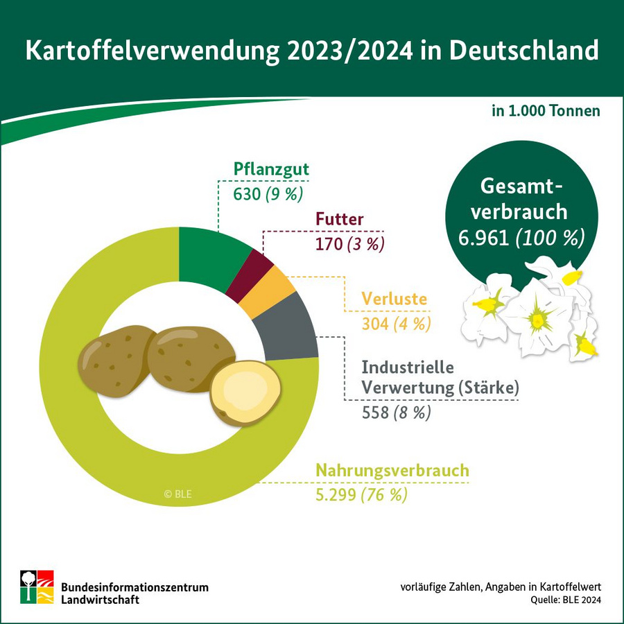 Infografik: Kartoffelverwendung 2023/24 in Deutschland