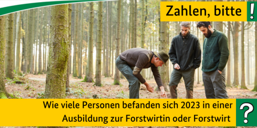 Quiz Zahlen, bitte! Wie viele Personen befanden sich 2023 in einer Ausbildung zur Forstwirtin oder Forstwirt ? 