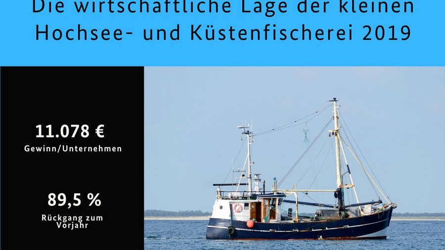 Zu sehen ist ein Fischerboot mit der Überschrift: Die wirtschaftliche Lage der kleinen Hochsee- und Küstenfischerei 2019. Zwei Zahlen sind angegeben: 11.078 € Gewinn7Unternehmen; 89,5% Rückgang zum Vorjahr