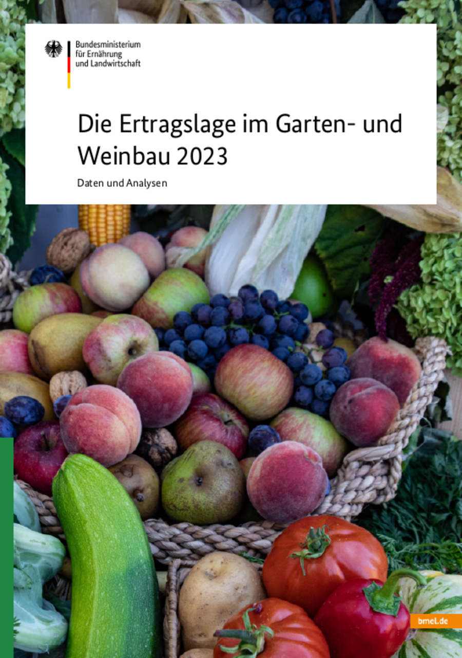 Titelbild der Broschüre Ertragslage Gartenbau und Weinbau. Zu Sehen: ein Korb mit verschiedenem Obst und Gemüse, wie zum Beispiel Äpfeln, Birnen, Trauben, Tomaten oder Paprika.