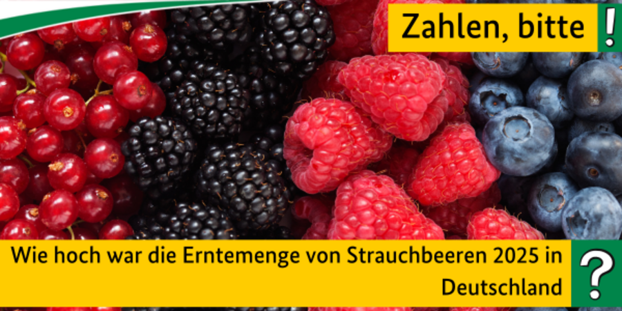 Quiz: Wie hoch war die Erntemenge von Strauchbeeren 2025 in Deutschland? Im Hintergrund sind verschiedene Beeren zu sehen.