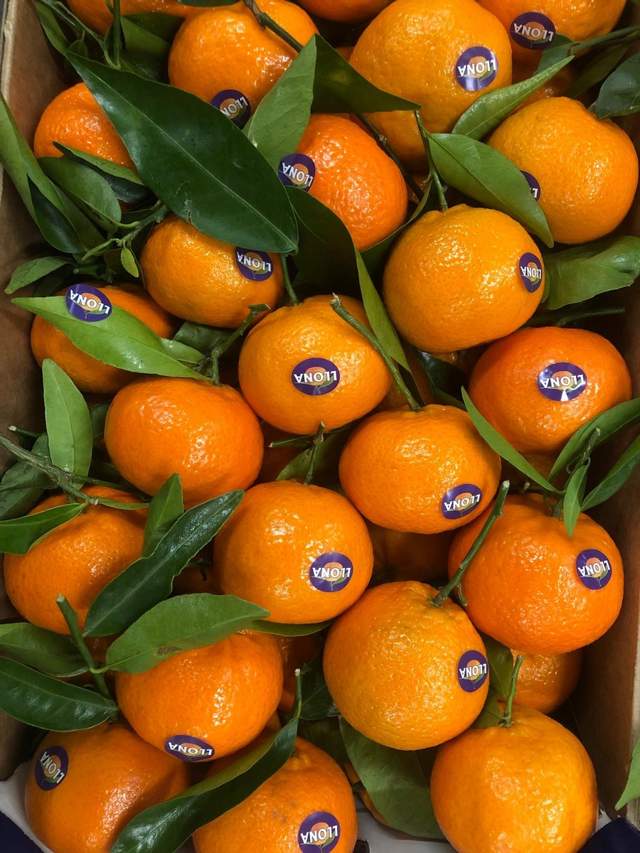 Frische Orangen mit grünen Blättern in einer Kiste.