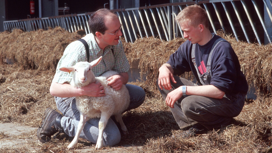 Landwirt und Auszubildener mit Lamm