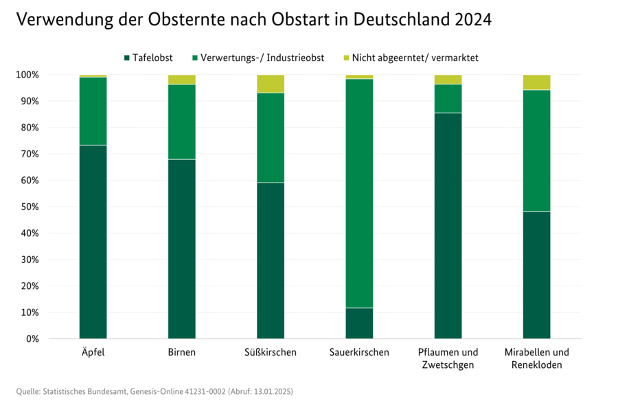 Gestapeltes Säulendiagramm: Verwendung der Obsternte nach Obstart in Deutschland 2023 in Prozent. 