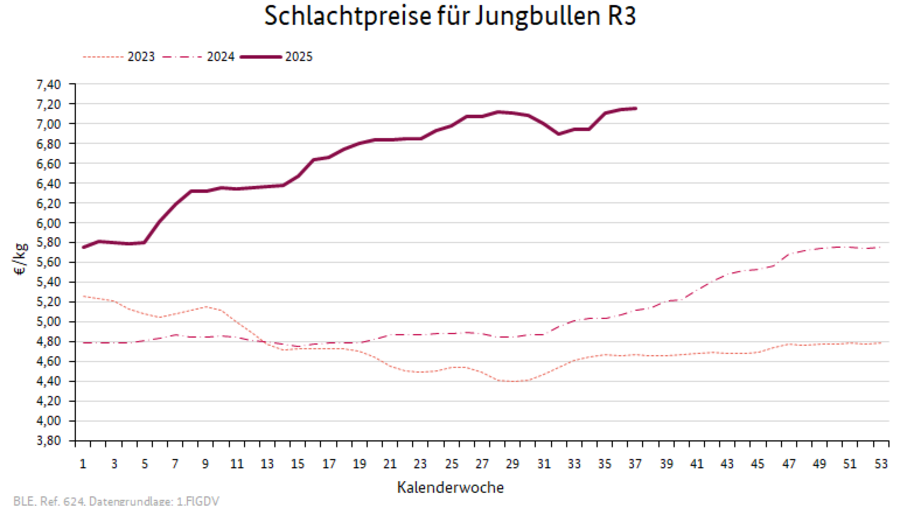 Preisverlauf Schweine E