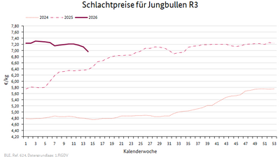 Liniendiagramm: Preisverlauf Schlachtpreise für Jungbullen R3