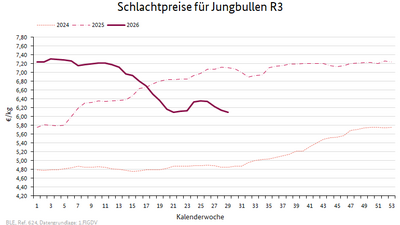 Liniendiagramm: Preisverlauf Schlachtpreise für Jungbullen R3