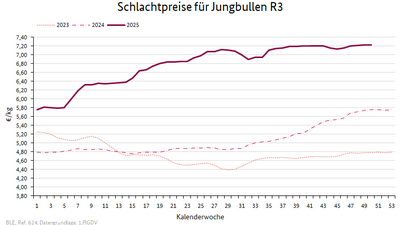 Liniendiagramm: Preisverlauf Schlachtpreise für Jungbullen R3