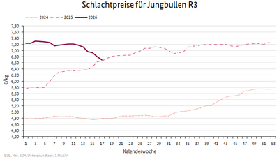 Liniendiagramm: Preisverlauf Schlachtpreise für Jungbullen R3