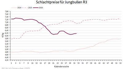 Liniendiagramm: Preisverlauf Schlachtpreise für Jungbullen R3