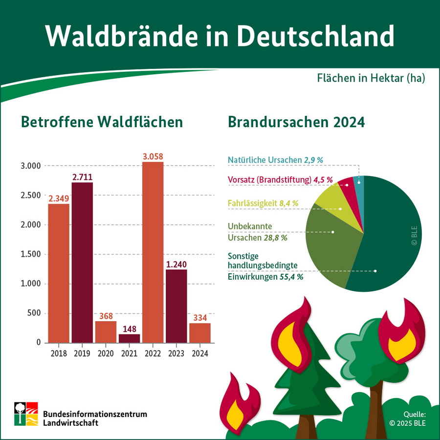Infografik: Waldbrände in Deutschland 2024