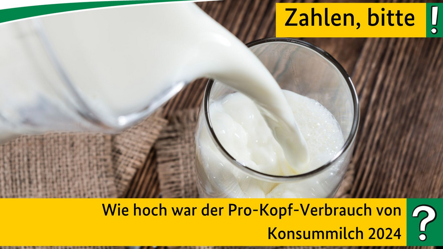 Wie hoch war der Pro-Kopf-Verbrauch von Konsummilch 2024?