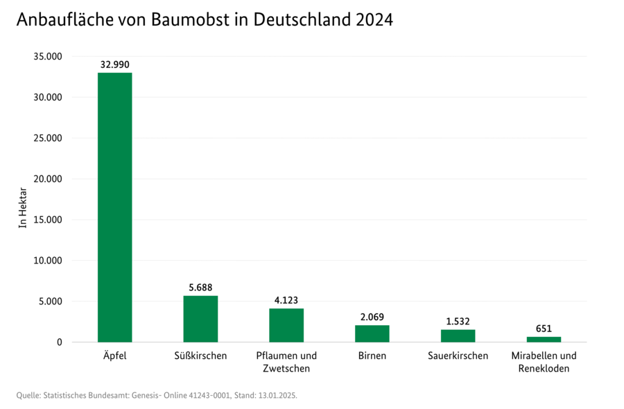 Säulendiagramm: Anbaufläche von Baumobst in Deutschland 2024. Datenquelle: Statistisches Bundesamt: Genesis Online 41243-0001