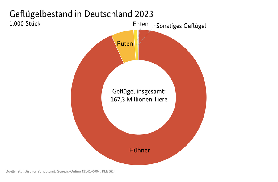 Kreisdiagramm zu dem Anteil verschiedener Geflügelarten am Geflügelbestand in Deutschland . Datenquelle: 3101900-0000.xlsx Geflügelbestand