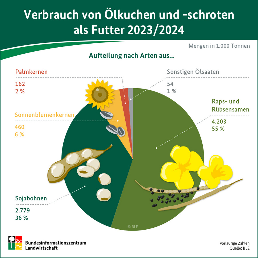 Infografik: Verbrauch von Ölkuchen und - schroten als Futter 2023/24