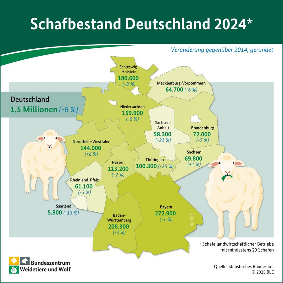 Infografik: Schafbestand Deutschland 2024.