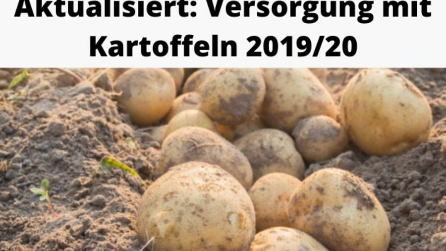Text: Aktualisiert: Versorgung mit Kartoffeln 2019/20. Bild: Kartoffeln liegen auf dem Acker.