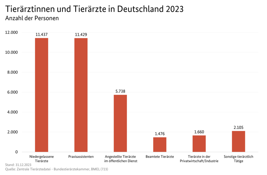 Säulendiagramm: Tierärztinnen und Tierärzte in Deutschland 2023. Datenquelle ist die Tabelle: 0106490-0000