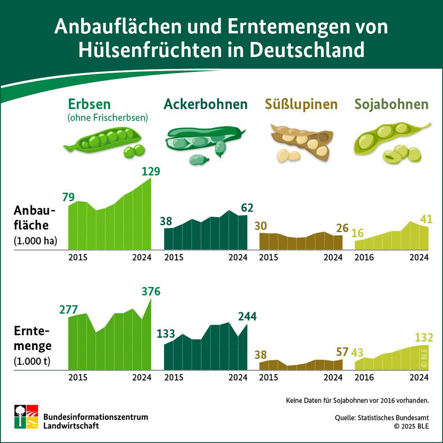 Infografik: Anbauflächen und Erntemengen von Hülsenfrüchten in Deutschland