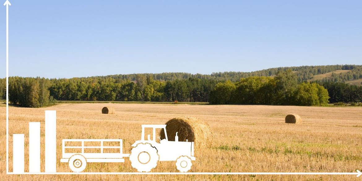 Traktor vor abgeerntetem Feld