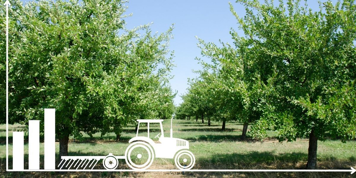 Traktor vor einer Obstbaumplantage