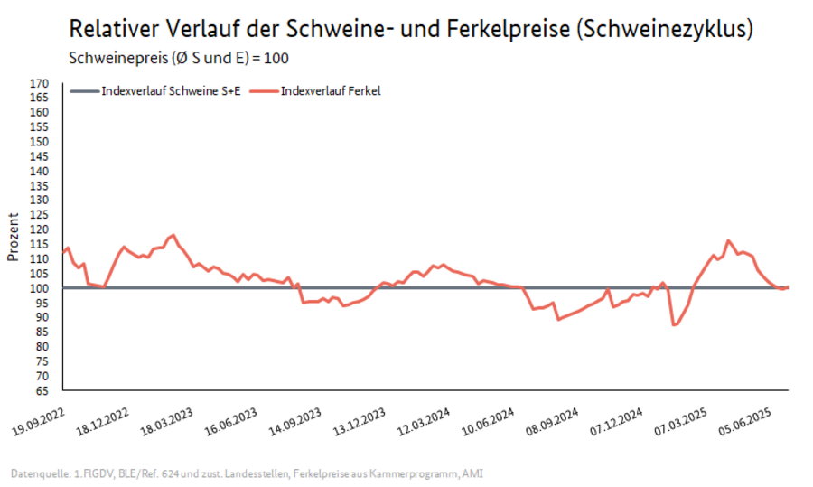 Schweinezyklus