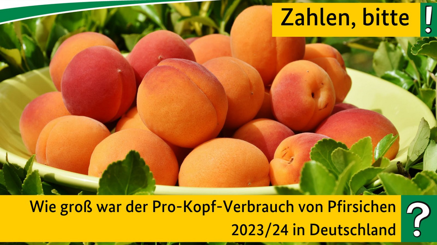 Wie groß war der Pro-Kopf-Verbrauch von Pfirsichen 2023/24 in Deutschland?