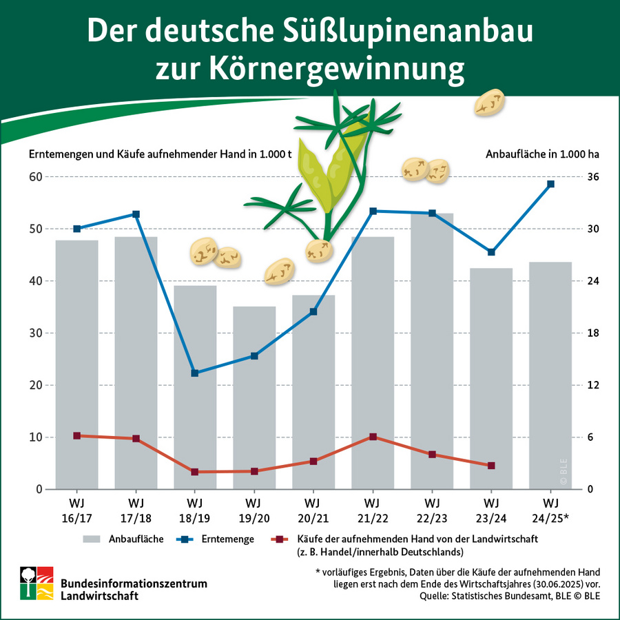 Infografik: Der deutsche Süßlupinenanbau zur Körnergewinnung