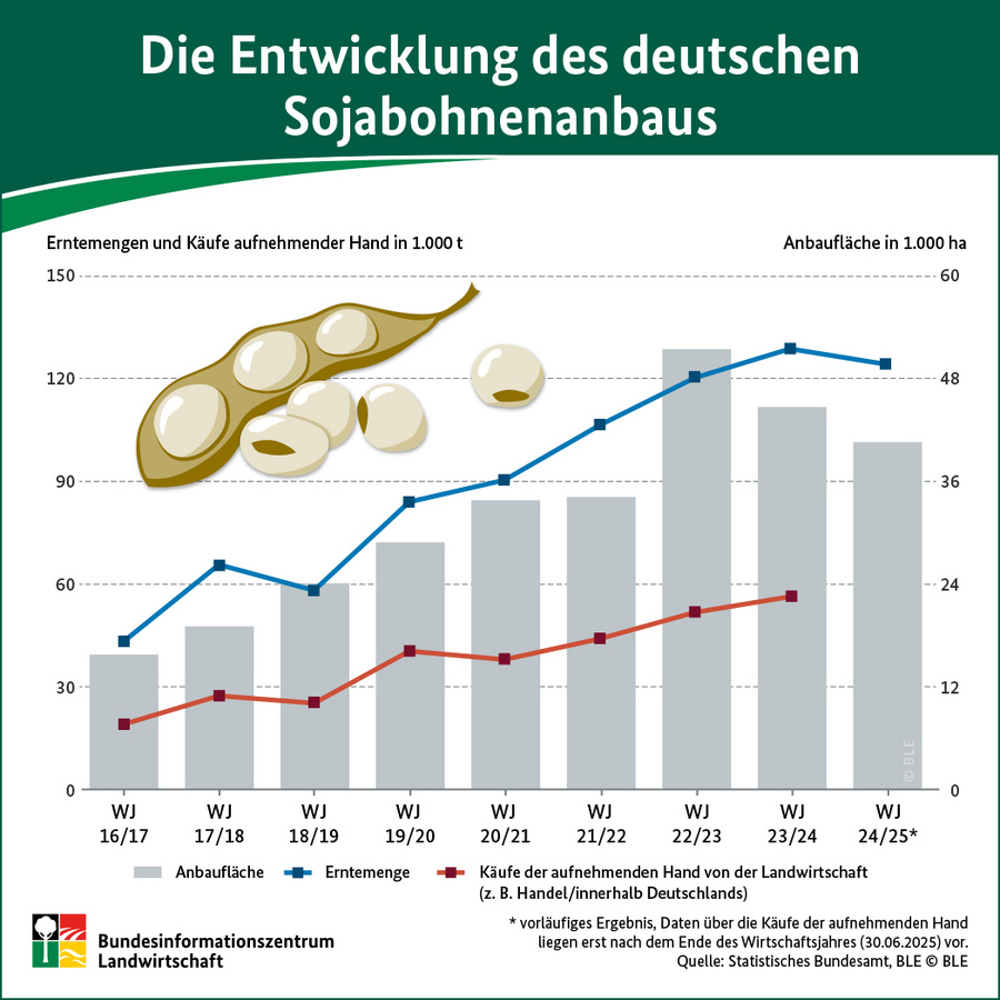 Infografik: Die Entwicklung des deutschen Sojabohnenanbaus