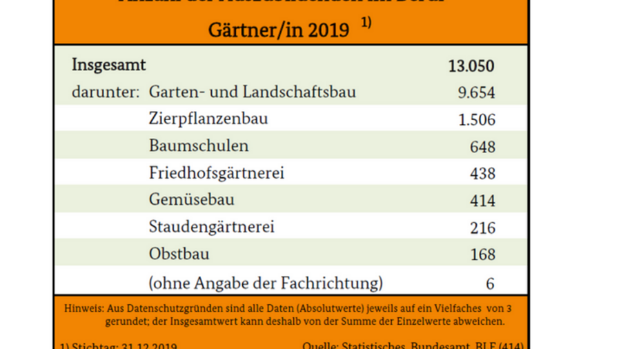 Tabelle beinhaltet die Anzahl der Auszubildenen im Berug Gärtner/in 2019