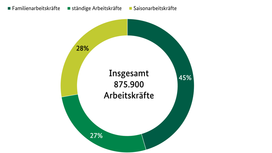 Arbeitskräfte in landwirtschaftlichen Betrieben 2020 Kreisdiagramm: Arbeitskräfte insgesamt 937.900. 46 % Familienarbeitskräfte, 24 % ständige Arbeitskräfte, 29 % Saisonarbeitskräfte.